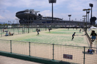 ソフトテニス (3)