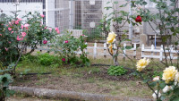DSCF4872
