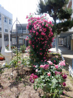 DSCF0009