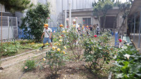 DSCF6048