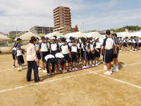 IMGP0286