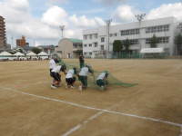 IMGP0116