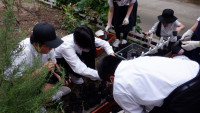 DSCF5529