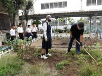 IMGP0782